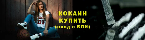 дживик Лагань