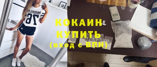 дживик Лагань