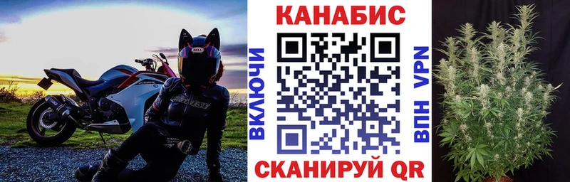 Купить закладки  Салаир  Бошки Шишки сатива 